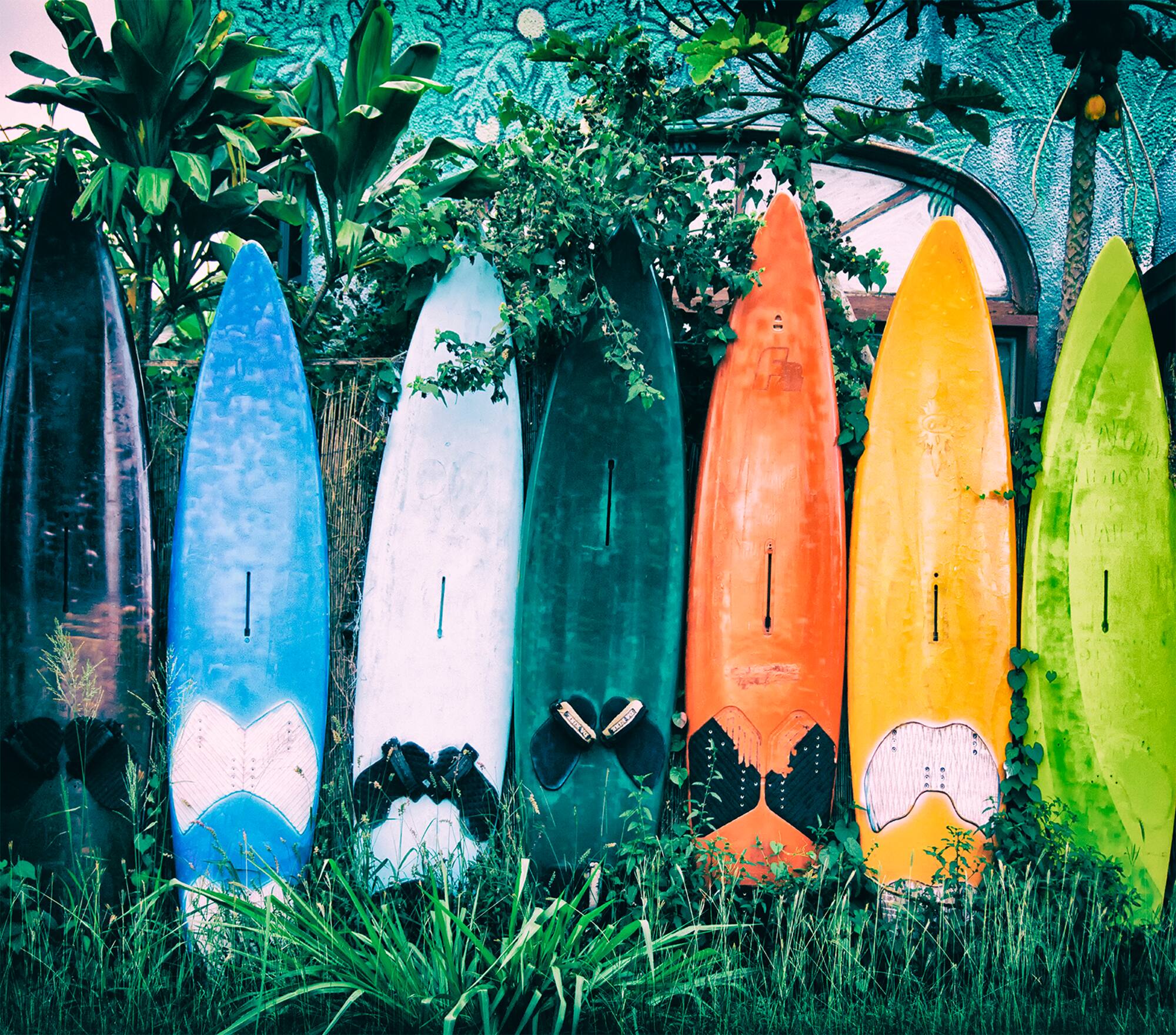 Designs Direct Surf Shack Vibes Wall Mural